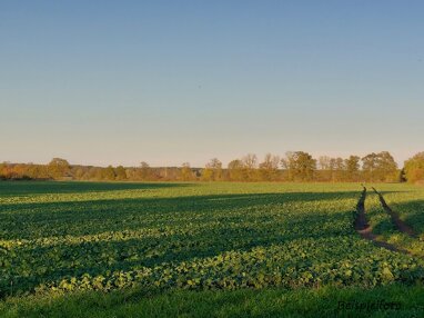 Landwirtschaftliche Fläche zum Kauf 90.000 m² Grundstück Boizenburg Boizenburg/Elbe 19258