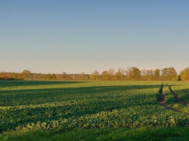 Landwirtschaftliche Fläche zum Kauf 90.000 m² Grundstück Boizenburg Boizenburg/Elbe 19258