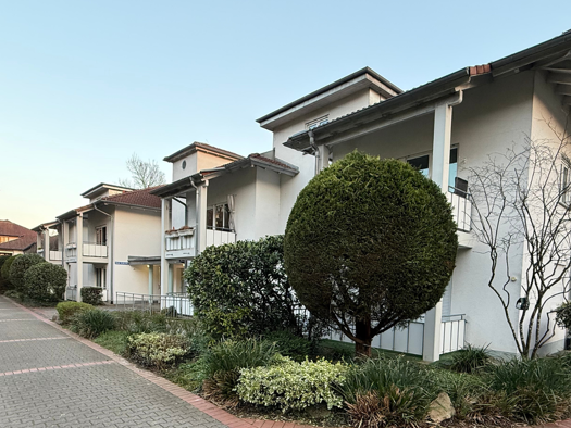 Studio zur Miete 500 € 1 Zimmer 40,4 m² EG Grenzach Grenzach-Wyhlen 79639