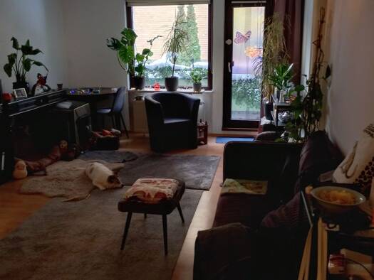 Wohnung zur Miete 430 € 2 Zimmer 52 m² Geschoss -1/4 frei ab 01.04.2026 Amsbergstraße 12 C Bad Harzburg 38667