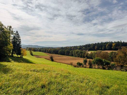 Land-/Forstwirtschaft zum Kauf 200.000 € 2.798 m² Grundstück Schrötten 41 Hengsberg 8411