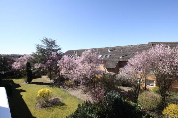 Wohnung zum Kauf 199.000 € 3 Zimmer 95,6 m² Dachgeschoss Gifhorn Gifhorn 38518