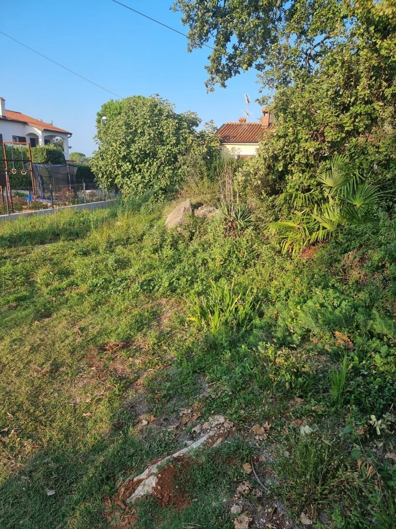 Land-/Forstwirtschaft zum Kauf 210.000 € Porec center