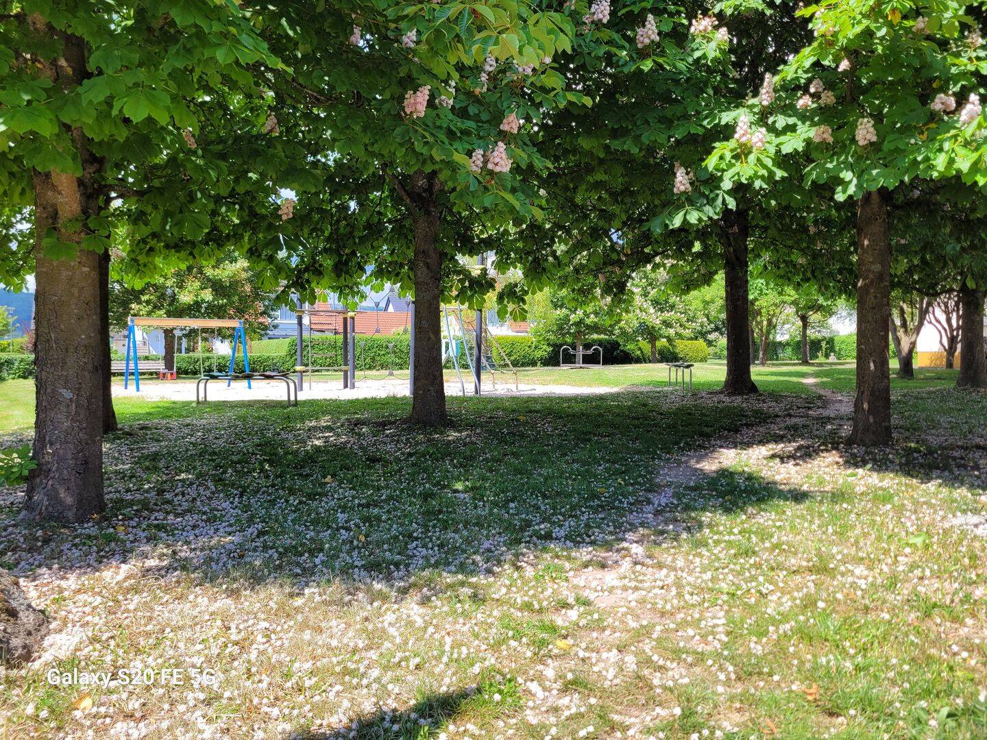 Property thumbnail 24