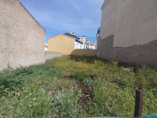 Acker-/Waldstück zum Kauf 27.000 € Güevéjar 18212