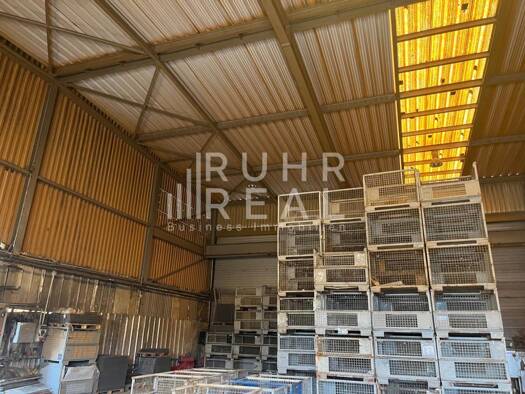 Halle/Industriefläche zur Miete 7,80 € 1.600 m² Lagerfläche teilbar ab 1.600 m² Frechen 50226