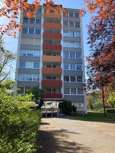 Wohnung zur Miete 420,21 € 1 Zimmer 39 m²<br/>Wohnfläche EG<br/>Geschoss 01.11.2024<br/>Verfügbarkeit Bahlenstraße 99 Holthausen Düsseldorf 40589