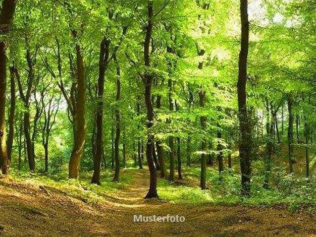 Land-/Forstwirtschaft zum Kauf 13.000 € 1.294 m² Grundstück Borkheide 14822