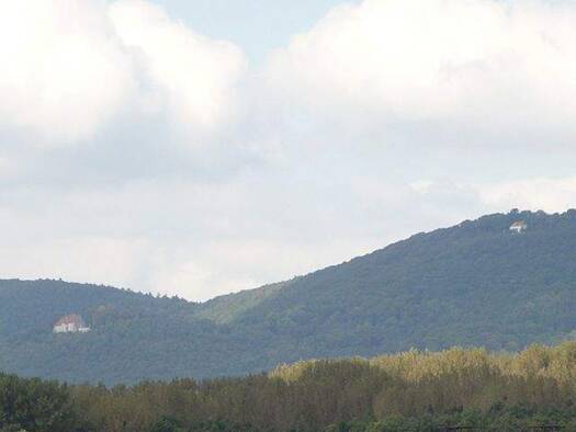 Einfamilienhaus zum Kauf 315.315 € 7 Zimmer 250 m² 847 m² Grundstück Hessisch Oldendorf 31840