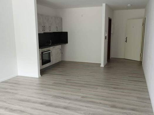 Wohnung zur Miete 250 € 1 Zimmer 37 m² frei ab 01.11.2026 Aue 08280