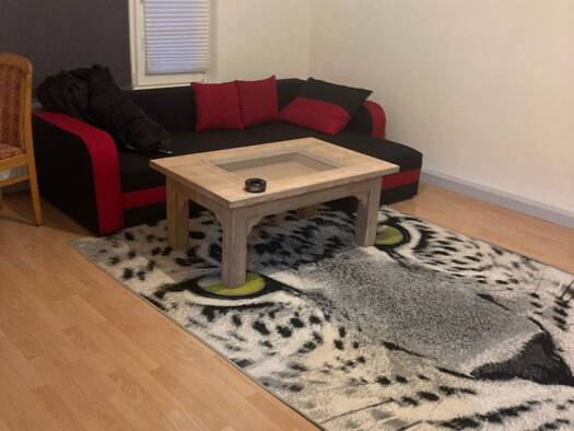 Wohnung zur Miete 265 € 2 Zimmer 46 m² Geschoss 1/2 frei ab sofort Naila 95119