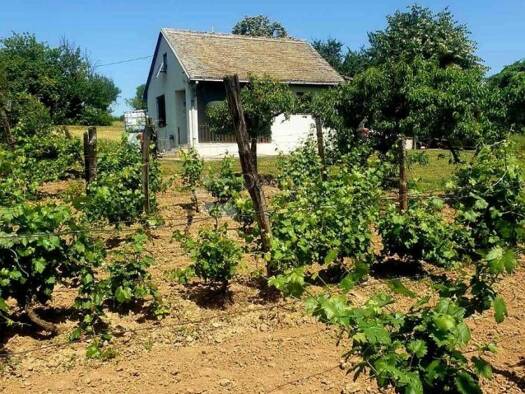 Einfamilienhaus zum Kauf 28.000 € 1 Zimmer 45 m² Kamenac, Kneževi Vinogradi Kneževi Vinogradi 31309