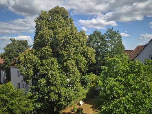Wohnung zur Miete 690 € 2 Zimmer 53 m² Geschoss 2/3 frei ab 01.08.2026 Holzstraße 51 Heuchling Lauf an der Pegnitz 91207