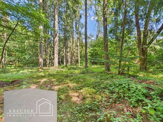 Grundstück zum Kauf 70.000 € 1.697 m² Grundstück Schmelz 66839