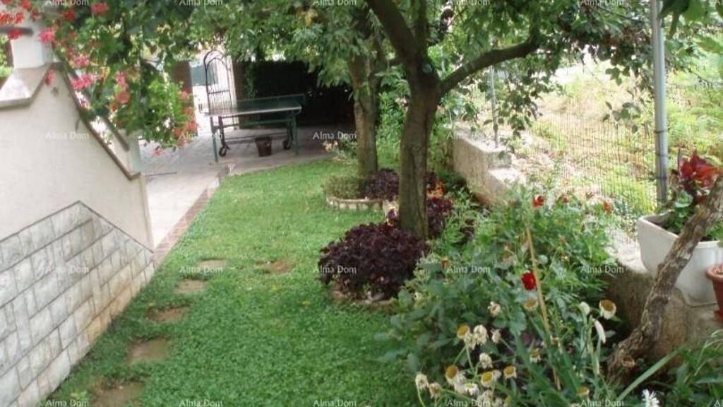 Sonstiges zum Kauf 850.000 € 8 Zimmer 320 m² 610 m² Grundstück Ulica Matija Vlacic-Flacius 43, Fazana 52100 Fazana