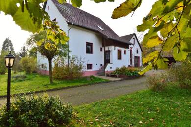 Einfamilienhaus zum Kauf 540.000 € 5 Zimmer 181,4 m² 7.718 m² Grundstück Wittersheim Mandelbachtal / Wittersheim 66399