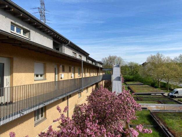 Wohnung zur Miete - Erstbezug nur mit Wohnberechtigungsschein 298 € 2 Zimmer 51,2 m² 2. Geschoss Bismarckstraße 155c Schalke Gelsenkirchen 45881