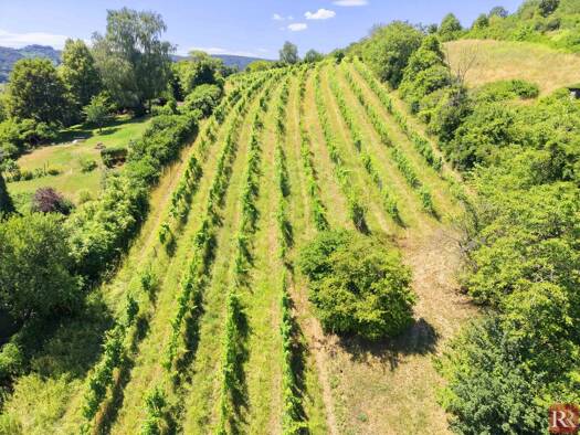 Grundstück zum Kauf 1.200.000 € 2.087 m² Grundstück Klosterneuburg 3400