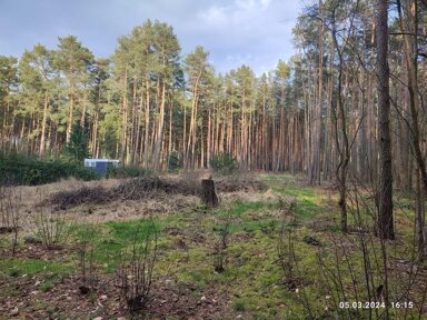 Freizeitgrundstück zum Kauf 45.000 € 1.307 m² Grundstück Tränkeweg 32 Borkheide 14822