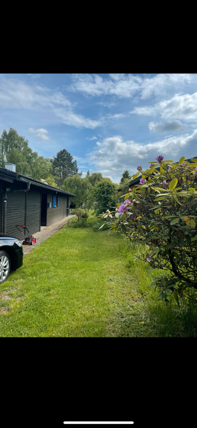 Bungalow zum Kauf provisionsfrei 289.000 € 4 Zimmer 95 m² 520 m² Grundstück Amalienhof Bartholomä 73566