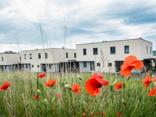Reihenmittelhaus zur Miete 1.699 € 4 Zimmer 130,9 m² frei ab 30.09.2026 Perschling 3142