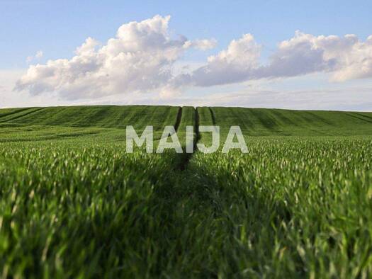 Land-/Forstwirtschaft zum Kauf 6.300.000 € 13.250.000 m² Grundstück Karsava 5717 - Ka