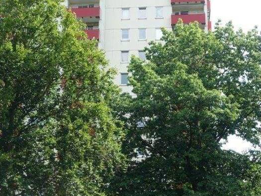 Wohnung zum Kauf als Kapitalanlage geeignet 162.000 € 2 Zimmer 69 m² Pinneberg-Waldenau 25421