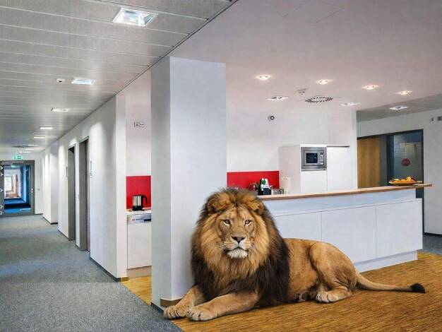 Bürofläche zur Miete 15.900 € 1.900 m² Bürofläche Pfungstadt Pfungstadt 64319