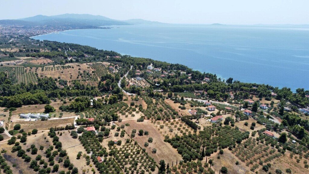 Land-/Forstwirtschaft zum Kauf 120.000 € 6.065 m²<br/>Grundstück Chalkidiki