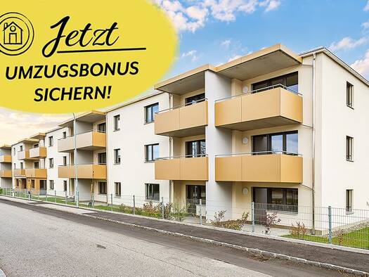 Wohnung zur Miete 661 € 61,9 m² Arbeiterheimgasse 1/5 Gmünd 3950