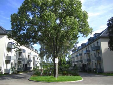 Studio zur Miete 715 € 3 Zimmer 75,5 m² 1. Geschoss frei ab 01.09.2025 Nordstadt Weimar 99427