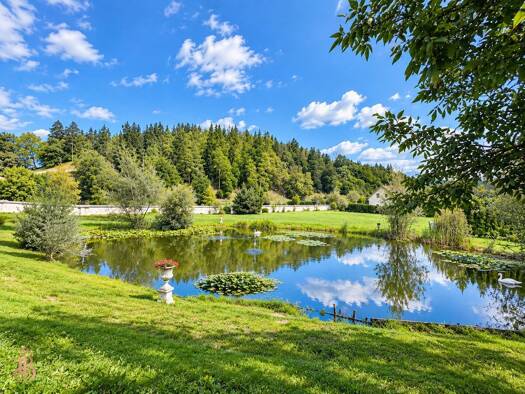 Hotel zum Kauf 24 Zimmer Rosegg 9232