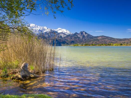 Grundstück zum Kauf 850.000 € 1.280 m² Grundstück Kochel Kochel a. See 82431