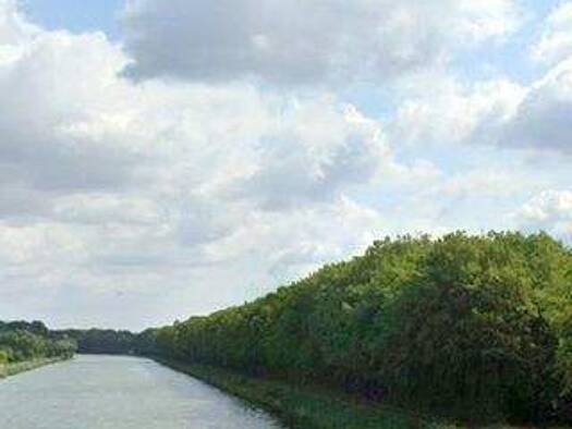 Grundstück zum Kauf 700 € 1.017 m² Grundstück Rusbend Bückeburg 31675