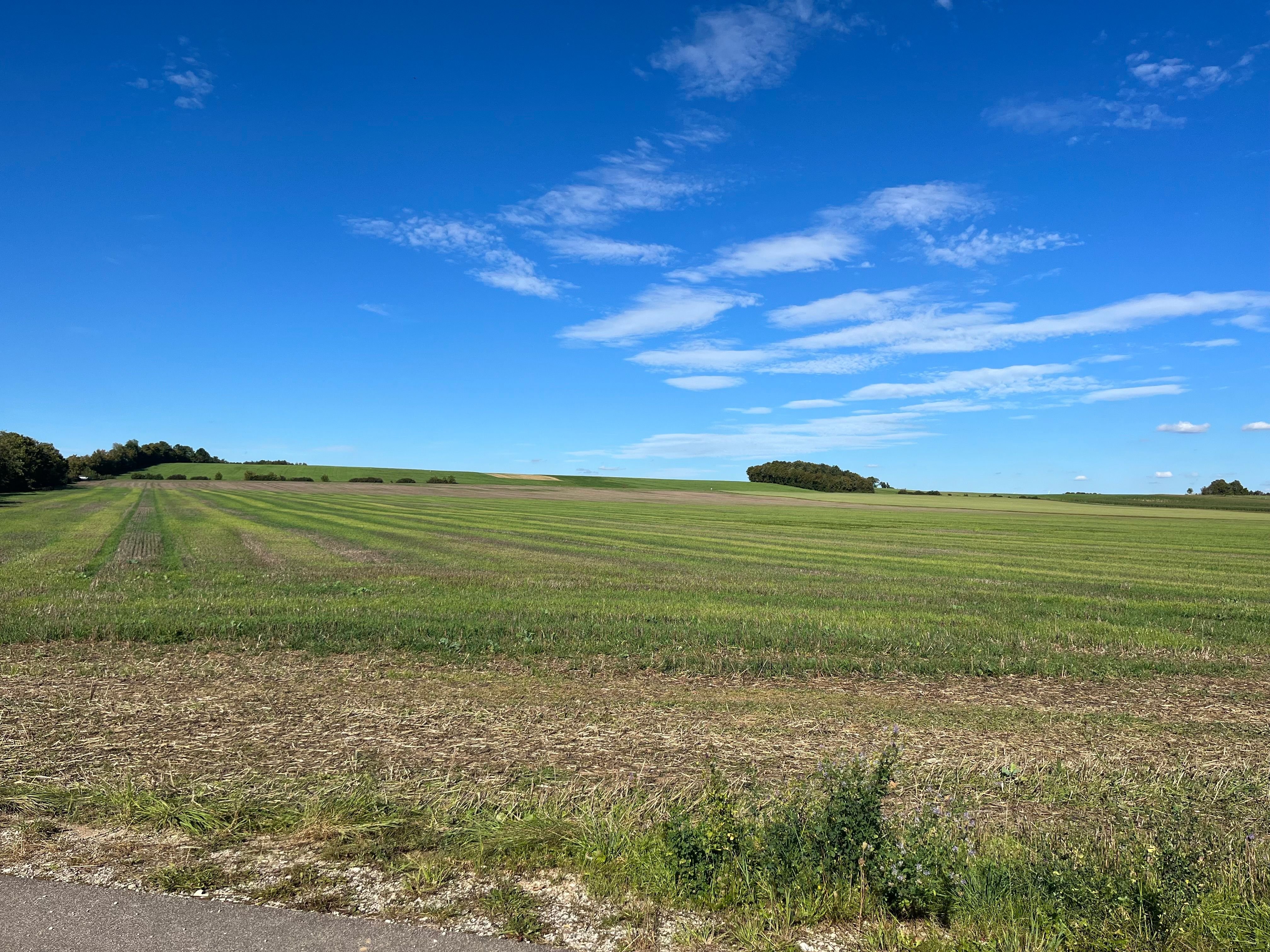 Landwirtschaftliche Fläche zum Kauf provisionsfrei 241.000 m²<br/>Fläche 241.000 m²<br/>Grundstück Sulzkirchen Freystadt 92342