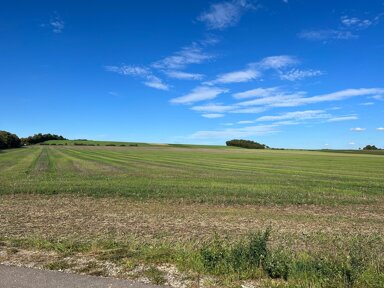 Landwirtschaftliche Fläche zum Kauf provisionsfrei 241.000 m² 241.000 m² Grundstück Sulzkirchen Freystadt 92342