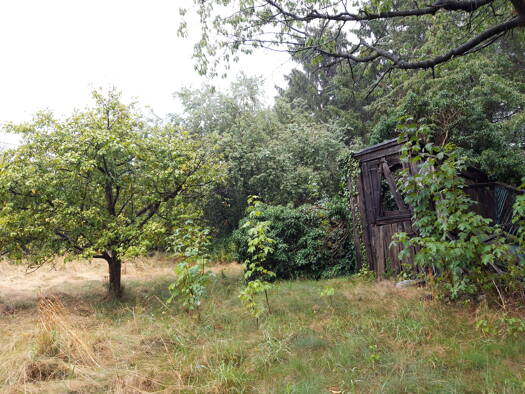Grundstück zum Kauf provisionsfrei 1.243 m² Grundstück Krebaer Straße 2 Kosel Niesky 02906