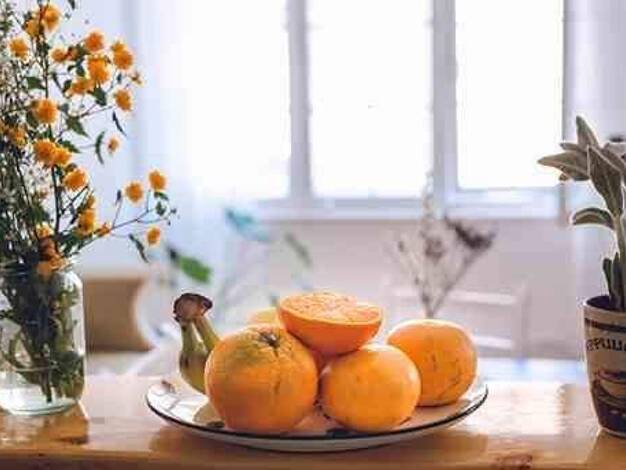 Wohnung zur Miete 295 € 1 Zimmer 26,2 m² 5. Geschoss frei ab 01.02.2026 Amalie-Dietrich-Platz 9 Gorbitz-Süd Dresden 01169