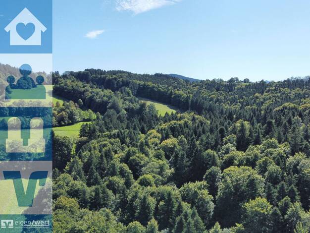 Land-/Forstwirtschaft zum Kauf 650.000 € 93.040 m² Grundstück Großthal Miesbach 83714