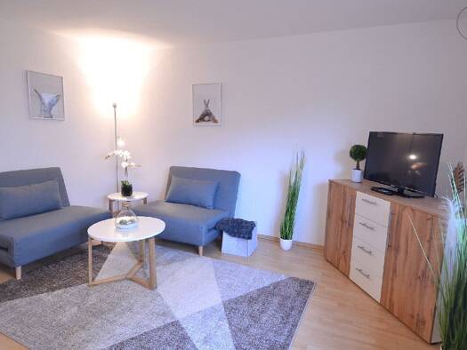 Studio zur Miete auf Zeit 860 € 1 Zimmer 39 m² frei ab 01.05.2026 Weil am Rhein 79576