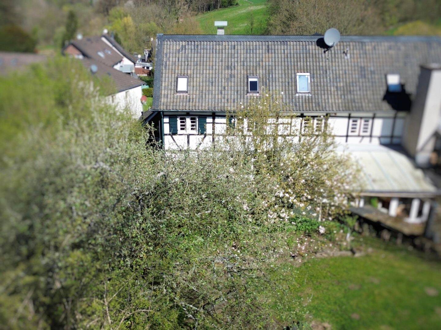 Einfamilienhaus zum Kauf - Ansicht 5
