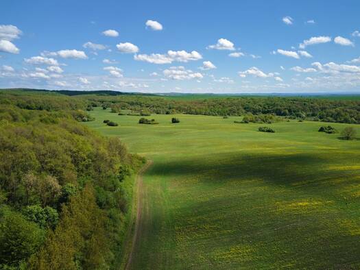 Land-/Forstwirtschaft zur Versteigerung 15.000 € 14.891 m² Grundstück Hohenhenningen Klötze 38486