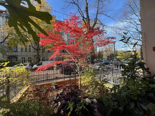 Wohnung zum Kauf provisionsfrei 419.000 € 3 Zimmer 101 m² EG Pankow Berlin-Pankow 13187