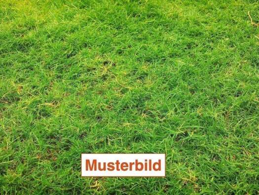 Grundstück zum Kauf 330.000 € 709 m² Grundstück Schwalheim Bad Nauheim 61231