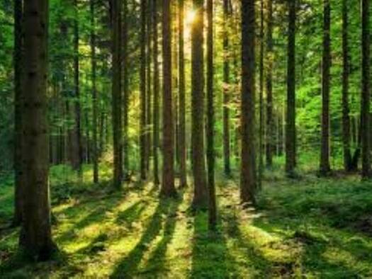 Land-/Forstwirtschaft zum Kauf 24.000 € 5.760 m² Altmannstein 93336