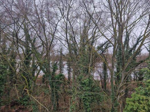 Maisonette zur Miete - Erstbezug 1.200 € 2,5 Zimmer frei ab sofort Roxheim Bobenheim-Roxheim 67240