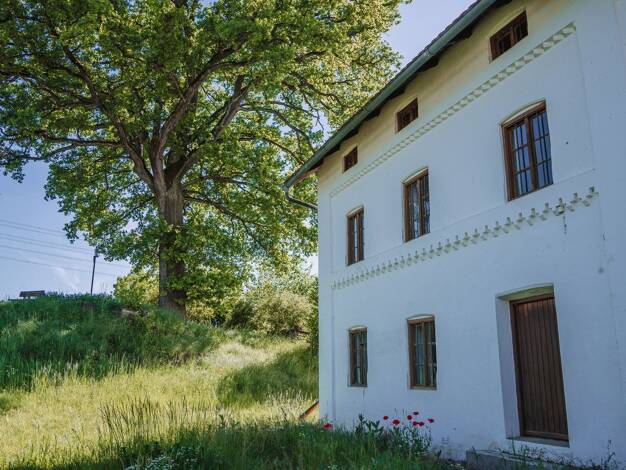 Bauernhaus zum Kauf provisionsfrei 360.000 € 10 Zimmer 333 m² 1.053 m² Grundstück Am Aichbach Niederaichbach Niederaichbach 84100