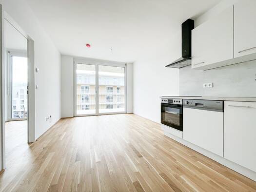 Wohnung zur Miete 521 € 2 Zimmer 44,2 m² Rankengasse Gries Graz 8020