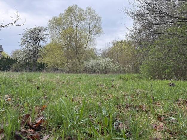 Grundstück zum Kauf provisionsfrei 199.500 € 702 m² Grundstück Brieselang Brieselang 14656