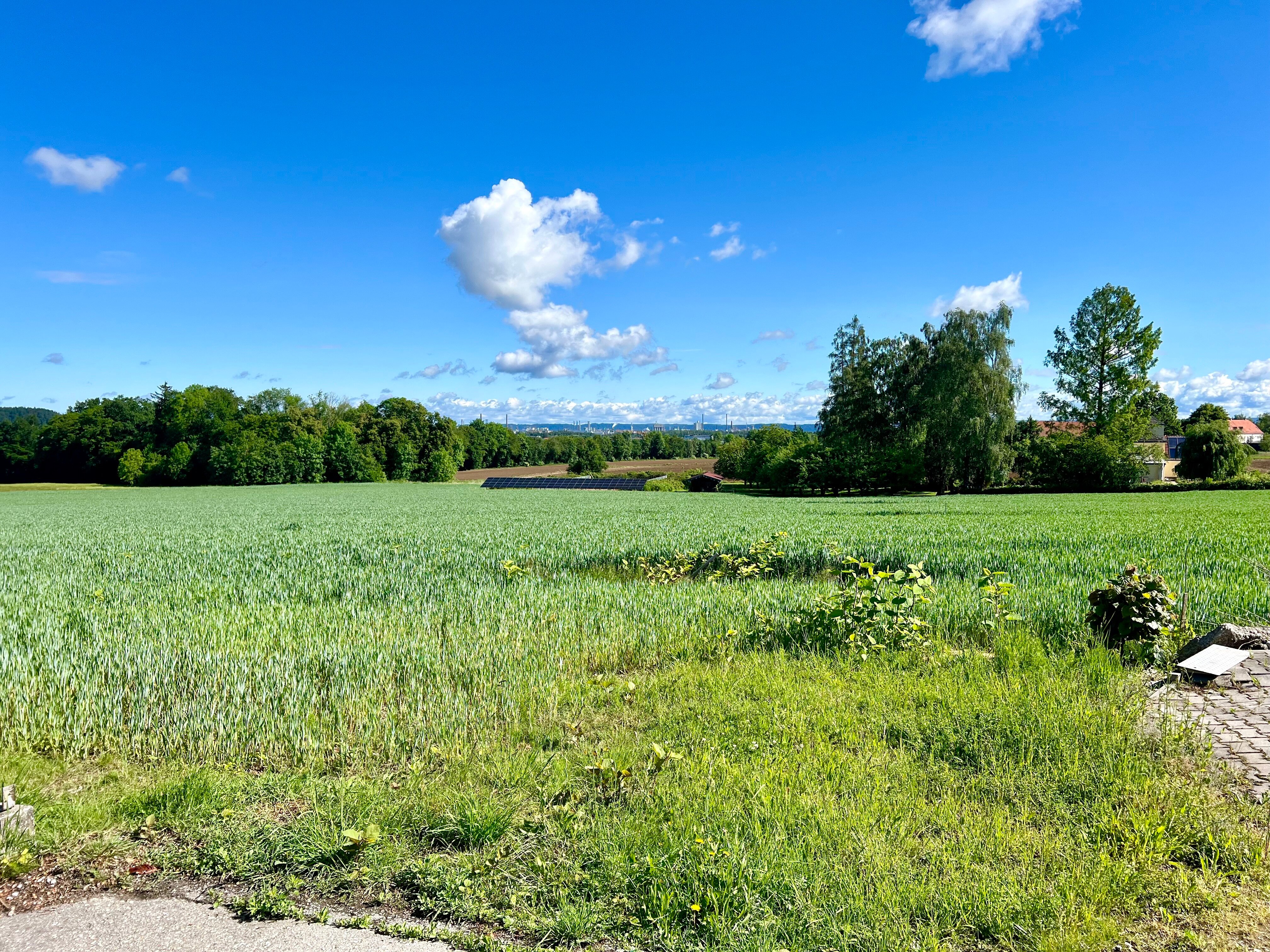 Grundstück zum Kauf als Kapitalanlage geeignet 228.000 € 890 m²<br/>Grundstück Burghausen Burghausen 84489